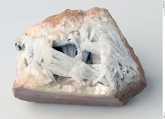 Foto von Coelestin (NHMW-MIN-Ac668)